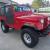 1979 Jeep CJ --