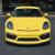 2016 Porsche Cayman 2dr GT4