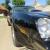1976 Pontiac Firebird Firebird Trans Am