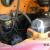 1957 Dodge K8-0500-132 vt456