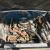 1968 Plymouth Satellite