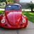 1976 Volkswagen Beetle - Classic