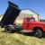 1972 Dodge Other Pickups