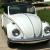 1968 Volkswagen Beetle - Classic 1968 VW Beetle Convertible