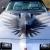 1979 Pontiac Trans Am 10th anniversary