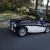 1955 Austin Healey 100 BN1 "LE MANS"