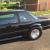 1981 Ford Mustang Notchback