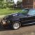 1981 Ford Mustang Notchback