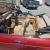 1994 Jaguar XJS Roadster