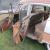 1955 Hudson Rambler Cross Country Wagon