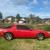 1987 Pontiac Firebird TRANS AM V8   350 Chev Auto    full REGO & RWC , Cobra Kai
