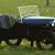 1931 Austin Seven 2 Seater Sports / Trials Car For Sale.