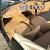 Daimler SP 250 B Spec