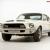 FORD SHELBY MUSTANG GT500 // FAMOUS BARN FIND // STORED 42+ YEARS