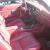 2021 Pontiac Firebird FORMULA Coupe Petrol Automatic