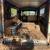 American International harvester metro catering camper glamping panelvan project