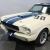 1965 Ford Mustang GT350 R Tribute
