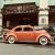 1957 oval beetle