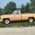 1976 Chevrolet C-10