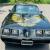 1979 Pontiac Trans Am FACTORY CODE 19 BLACK T TOPS 403 SE LOOK
