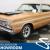 1966 Plymouth Other