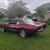 1967 Mercury Cougar 6.4