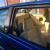 Lotus Excel Se