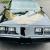 1981 Pontiac Firebird U19 BLACK/GOLD T TOPS TURBO