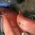 1935 standard ideal hot rod rat rod project
