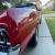 1967 Ford Mustang