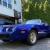 1980 Pontiac Firebird BUILT
