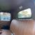 1953 GMC 3100