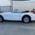 1965 Austin-Healey 3000 MK III BJ8 ph2