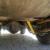 1978 International Scout II scout