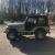 1980 Jeep CJ