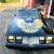 1979 Pontiac Trans Am Y84 SE Special Edition