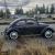 Volkswagen: Beetle - Classic