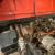 Series 1 landrover 80 inch