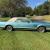 1979 Lincoln Continental Mark V