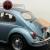 1969 Volkswagen Beetle - Classic RESTORED! DOUBLE ROOF RACKS!