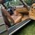 1972 Mercedes-Benz 350SL 350SL Roadster