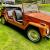 1974 Volkswagen Thing Thing 181