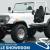 1979 Jeep CJ