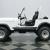 1979 Jeep CJ