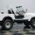 1979 Jeep CJ