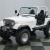 1979 Jeep CJ