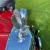 1951 Singer 4AB Roadster 4 Seater Chassis up Restortaion to Concourse Standard