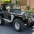 1981 Jeep CJ