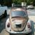 1969 Volkswagen Beetle - Classic