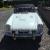 MGB V8
